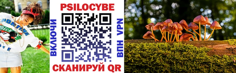 Псилоцибиновые грибы Cubensis  блэк спрут зеркало  Клинцы 